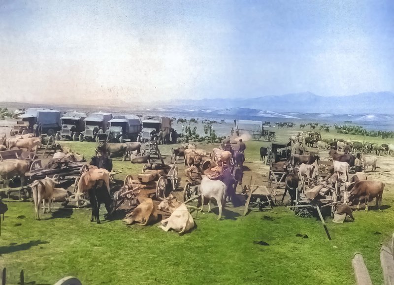 «Το στρατόπεδο συγκεντρώνεται σιγά σιγά αναμένοντας τη διέλευση του Σαγγάριου, Αλλόκοτο ανακάτεμα ανθρώπων και ζώων κάθε λογής.»