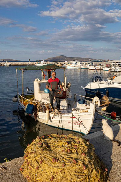 Μόλις επέστρεψε από το ψάρεμα ο Παρασκευάς και ο τετράποδος φίλος του τον περιμένει...
