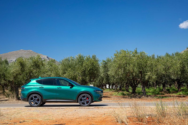 Οι ελιές, αλλού ποτιστικές όπως εδώ, στα Βιγκλάφια, και αλλού ξερικές αποτελούν πηγή πλούτου για την περιοχή προσφέροντας εξαιρετικής ποιότητας ελαιόλαδο.