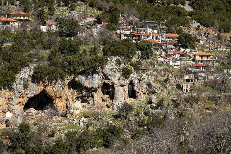 Η Συκιά με τις χαρακτηριστικές σπηλιές της. Η Συκιά με τις χαρακτηριστικές σπηλιές της.