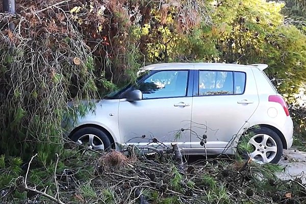 Πώς αποζημιώνομαι αν πέσει δέντρο στο αυτοκίνητο; Τι ισχύει με τις ζημιές από χαλάζι