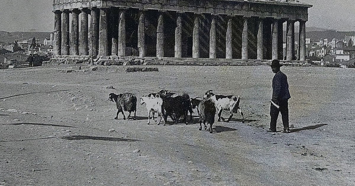 Οι κυβερνήσεις Τρικούπη ανέλαβαν μία δραστήρια πολιτική μεταφορών, κατασκευάζοντας μεταξύ 1883 και 1892 1.346 χλμ. οδών. Αλλά την ίδια εποχή υπήρχαν ακόμα κατσίκες στο Θησείο, προβατάκια στην Κηφισιά και κοτέτσια στο Μαρούσι. Βρισκόμαστε  στην εποχή της δεκαετίας του 1890, σε μια Αθήνα που σε λίγο θα υποδεχτεί τους Ολυμπιακούς Αγώνες, όπου η ζωή της Αθήνας, μιας πόλης που πρώτα έγινε πρωτεύουσα και μετά πόλη,  έχει εναποθέσει στο ιθαγενές στέλεχος (χωματόδρομοι, ανύπαρκτη αποχέτευση, παραπήγματα, συνύπαρξη ανθρώπων και ζώων, έλλειψη δημόσιας υγιεινής, σκόνη) τα ευρωπαϊκά δάνεια (εντυπωσιακά δημόσια κτίρια, λόγου χάριν).