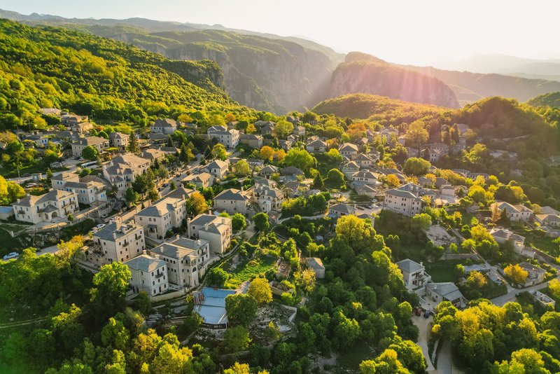 Μονοδένδρι