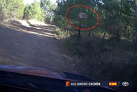 Απίστευτο, κι όμως αληθινό: Θεατής πέταξε πέτρα σε αγωνιστικό στο ΕΚΟ Ράλλυ Ακρόπολις! (video)