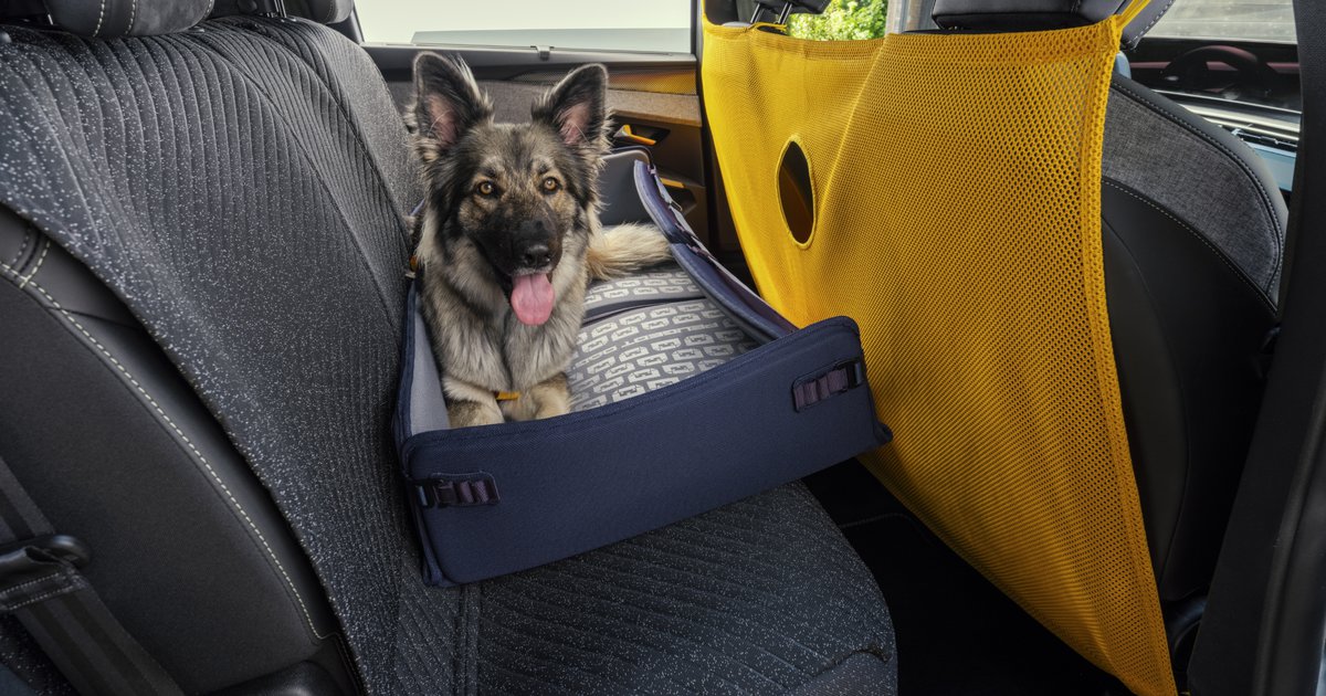 Peugeot E-5008 Dog Edition Concept: Ένα SUV σχεδιασμένο μέσα από τα μάτια ενός σκύλου