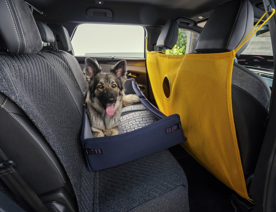 Peugeot E-5008 Dog Edition Concept: Ένα SUV σχεδιασμένο μέσα από τα μάτια ενός σκύλου