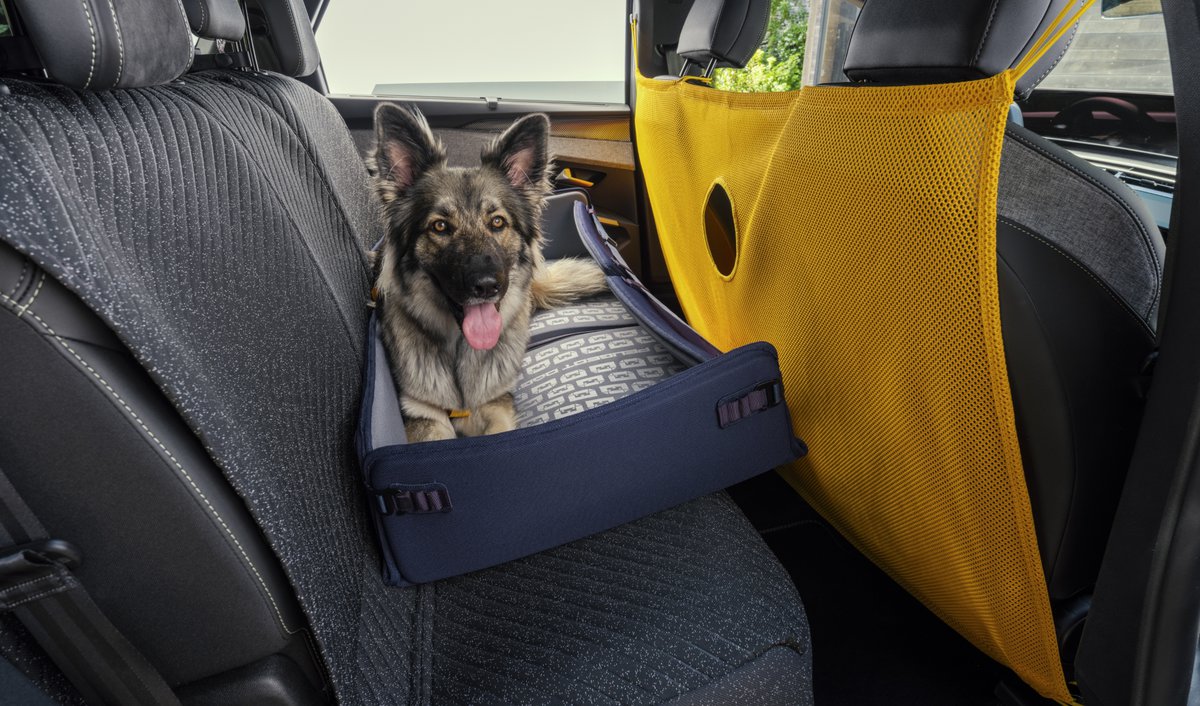 Peugeot E-5008 Dog Edition Concept: Ένα SUV σχεδιασμένο μέσα από τα μάτια ενός σκύλου