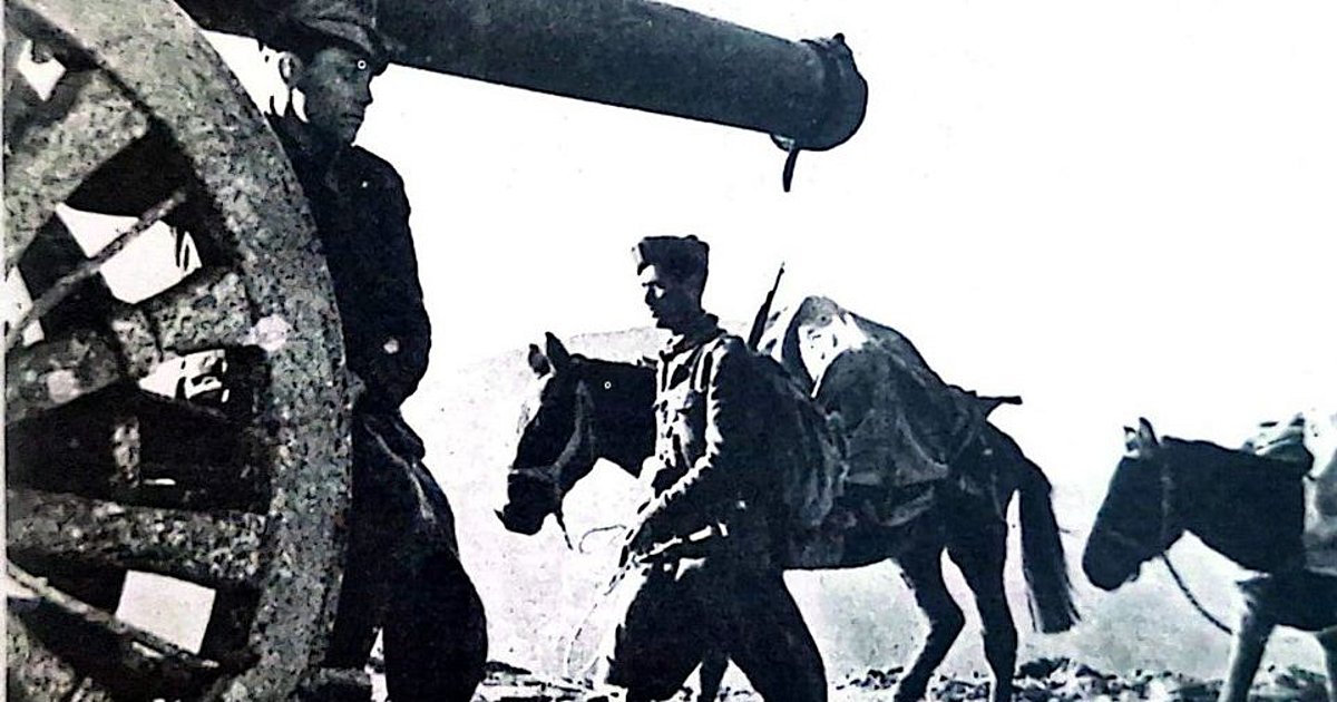 Βουβός μάρτυρας της εκστρατείας το μουλάρι, είναι ο πιστός και αφοσιωμένος υπηρέτης, όπως με σαφήνεια η φωτό εξεικονίζει. Οι δρόμοι που τα μουλάρια, οπλή την οπλή, άνοιξαν στην Πίνδο συγκρότησαν ένα δίκτυο από ατραπούς που αργότερα διανοίχτηκαν, ώστε να συγκροτηθεί ορεινό οδικό δίκτυο. Βουβός μάρτυρας της εκστρατείας το μουλάρι, είναι ο πιστός και αφοσιωμένος υπηρέτης, όπως με σαφήνεια η φωτό εξεικονίζει. Οι δρόμοι που τα μουλάρια, οπλή την οπλή, άνοιξαν στην Πίνδο συγκρότησαν ένα δίκτυο από ατραπούς που αργότερα διανοίχτηκαν, ώστε να συγκροτηθεί ορεινό οδικό δίκτυο.